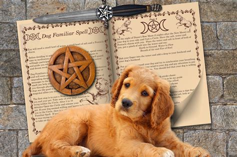 Magic, Wagging Tails, and Adventure: The Best Magical Dog Books for Adventure Seekers